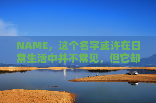 NAME，这个名字或许在日常生活中并不常见，但它却在某些领域里扮演着重要的角色。今天，让我们一起来探索这个名字背后的故事和意义